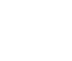 Zid